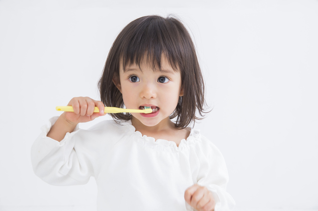 2 歳の自宅幼児教育のポイント