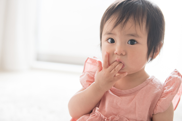 1歳の自宅幼児教育のポイント