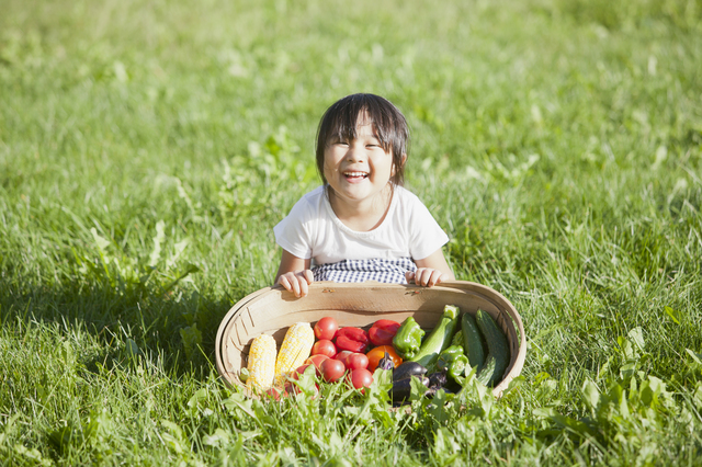 子どもに野菜を食べてもらいたい！