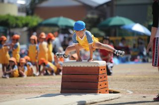 運動が脳を育てる